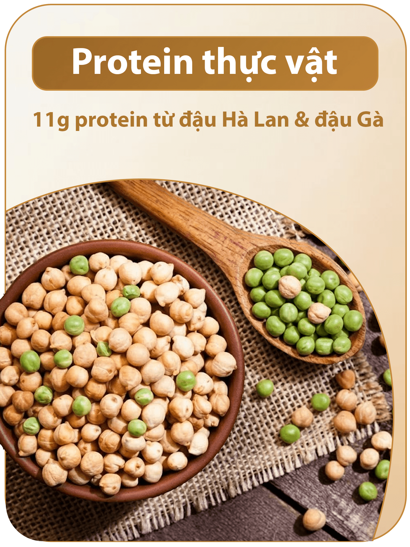 Protein thực vật từ đậu Hà Lan và đậu Gà