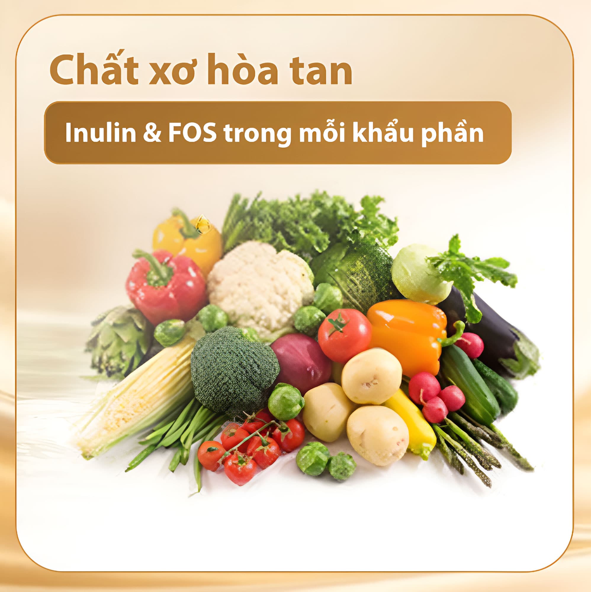 Vitamin và khoáng chất trong Nutein