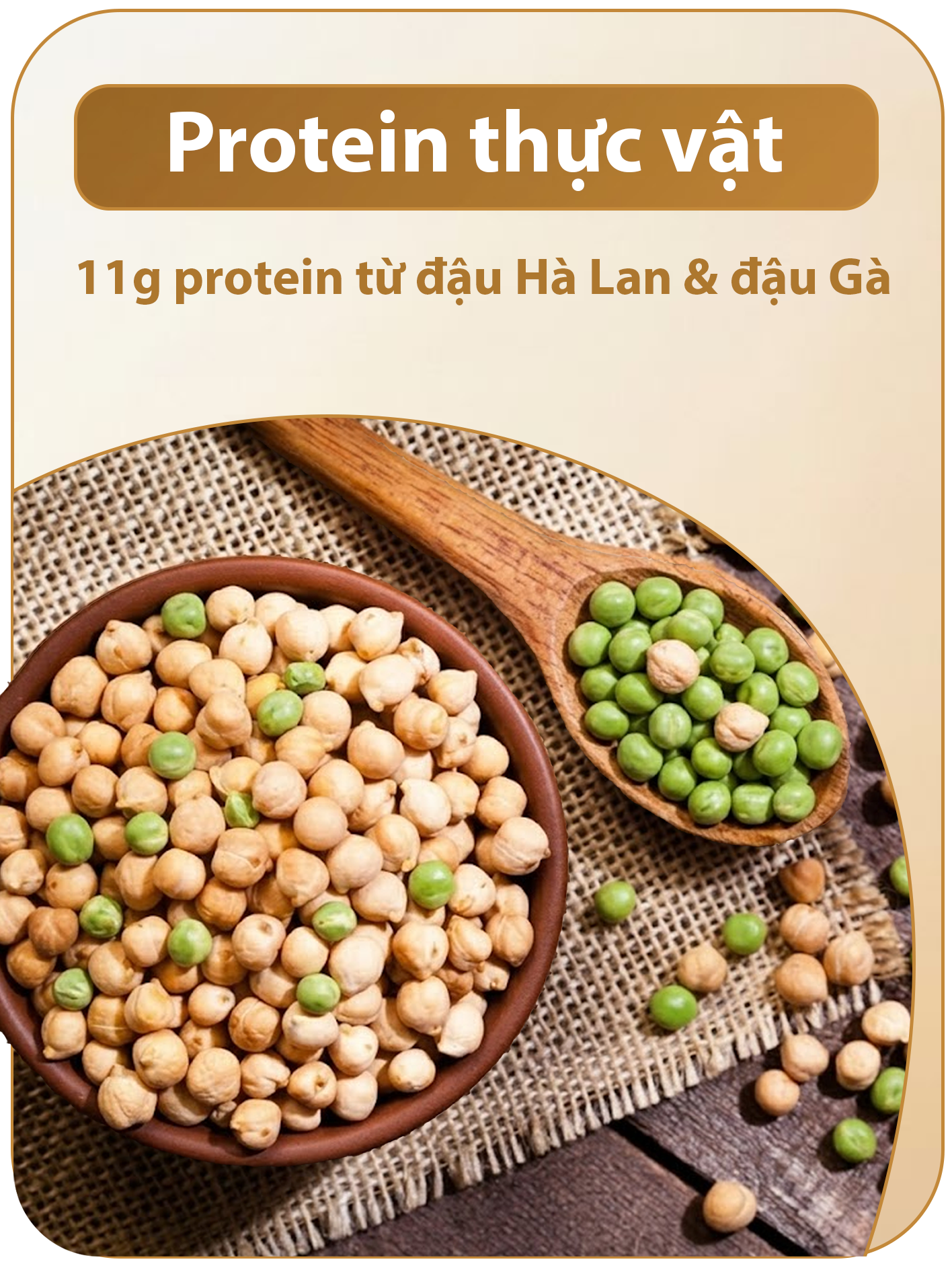 Protein thực vật từ đậu Hà Lan và đậu Gà