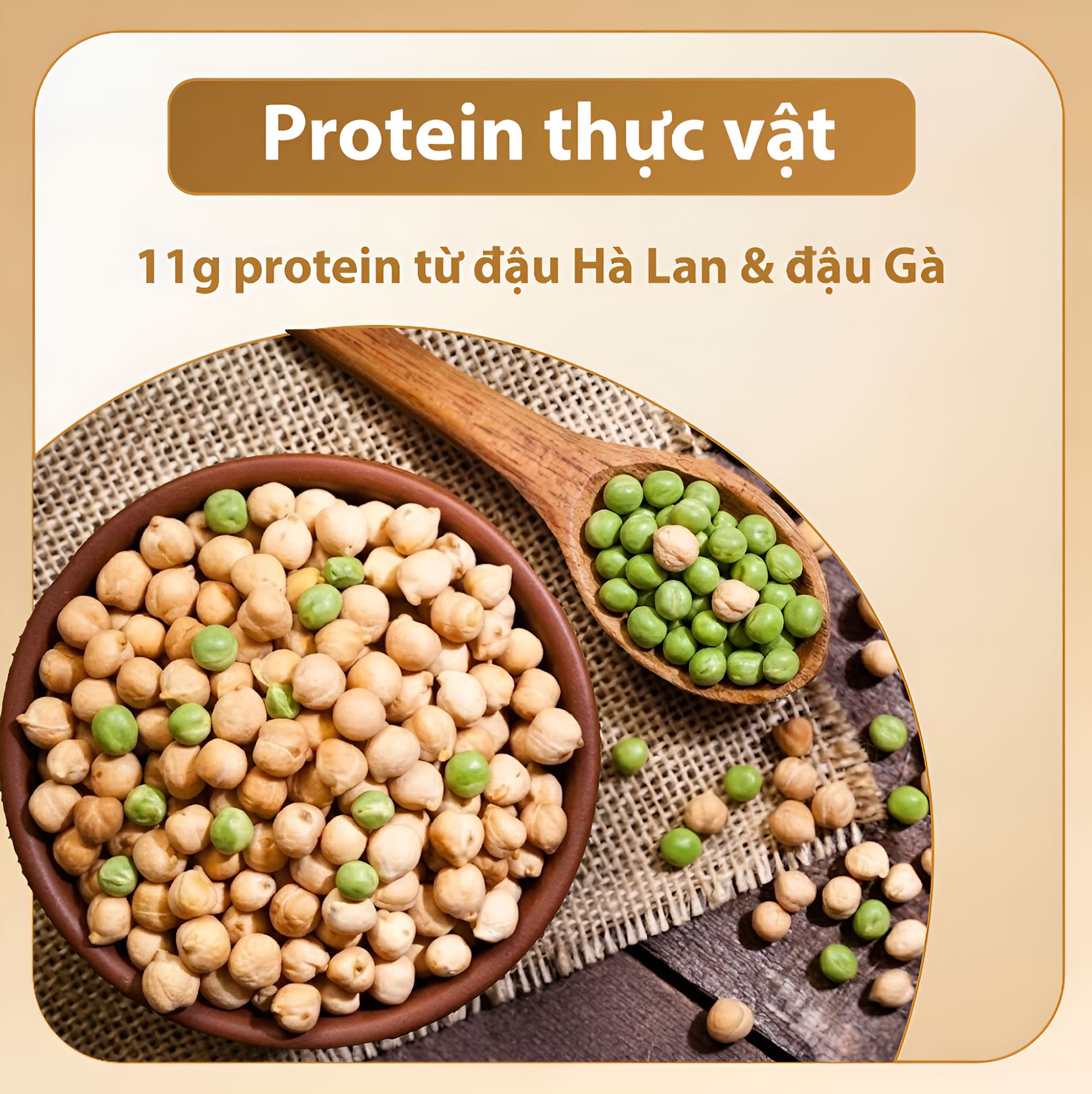 Hộp protein thực vật Nutein dùng để pha sinh tố buổi sáng
